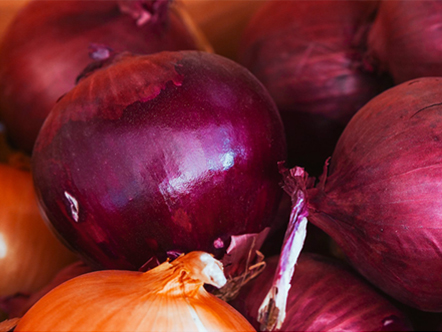 Photo of Red and Yellow Onions